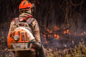 Ibama autoriza brigadas temporárias para combate a incêndios em MT