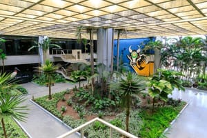 Governo decreta ponto facultativo a partir de 13h desta quinta-feira