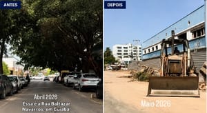 Após ‘devastação’ na Rua Baltazar, Prefeitura endurece regras para poda e remoção de árvores